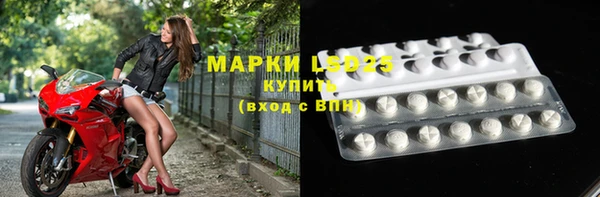 прущие грибы Белокуриха