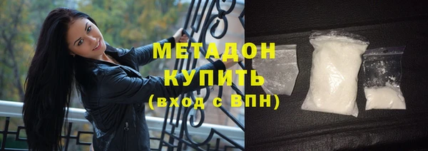 прущие грибы Белокуриха