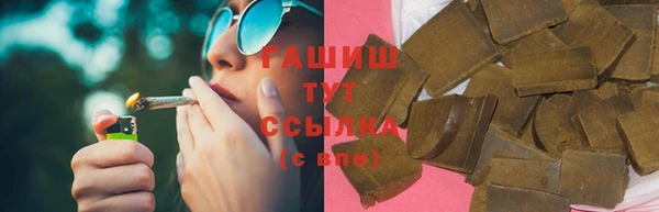 прущие грибы Белокуриха