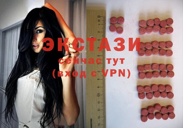 прущие грибы Белокуриха
