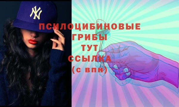 прущие грибы Белокуриха
