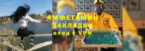 прущие грибы Белокуриха
