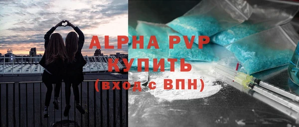 прущие грибы Белокуриха